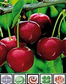 Administracion de loterias nº 1 de Piornal